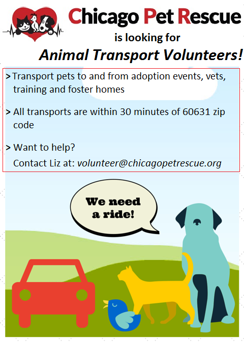 Chicago Pet Rescue - Volunteer